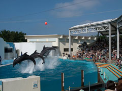 �y�G�[�XJTB�E�������s�z�V���c�A�[�E�V���̗��فE�z�e���\��@